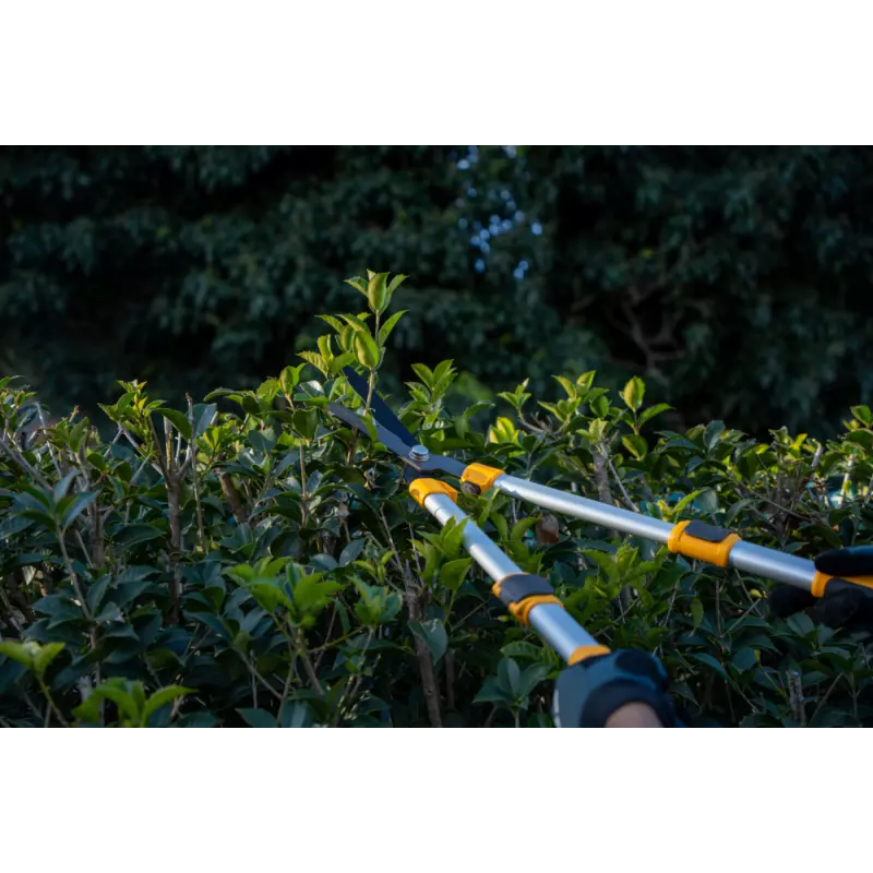 TelescopicHedgeShears_2H1120001ST1_amb04_web